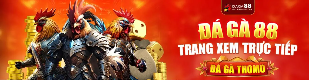 Đá Gà Trực Tuyến aog777 - Sân Đấu Kịch Tính
